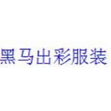 普宁市黑马出彩服装有限公司