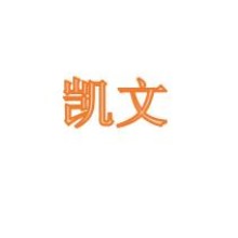 广东凯文制衣（参选最具发展空间雇主奖）