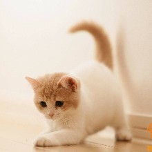 揭阳雅丽轩美容服务