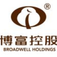 广东博富投资控股有限公司