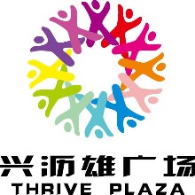 佛山市南海区大沥镇兴沥雄物业投资有限公司