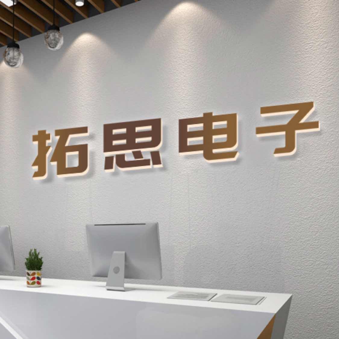 揭阳空港区拓思电子科技有限公司