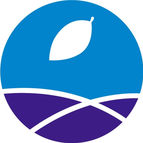 鹰潭市信江新区道都古方食品店