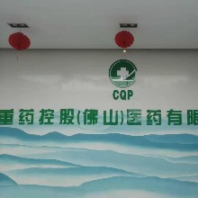 重药控股（佛山）医药有限公司